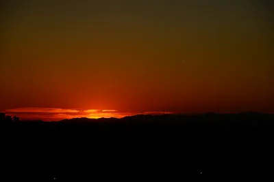 DSC_1492 (Large).JPG